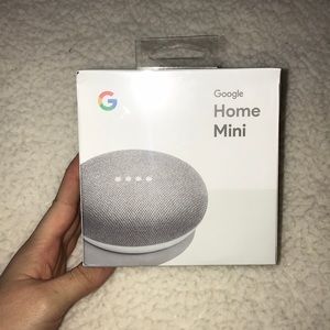 NWT Google Home Mini